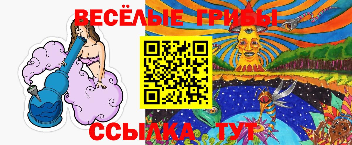 Галлюциногенные грибы Psilocybe Каменск-Шахтинский